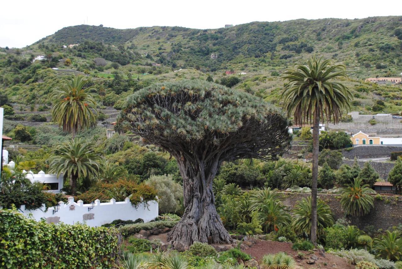 Appartamento Luis Estudio Adeje Tenerife Sur By Hrtenerife Net